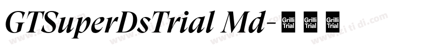 GTSuperDsTrial Md字体转换